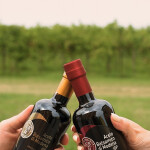 L’ACETO BALSAMICO DI MODENA IGP AL CONCERTO DI LUCIANO LIGABUE AL CAMPOVOLO DI REGGIO EMILIA