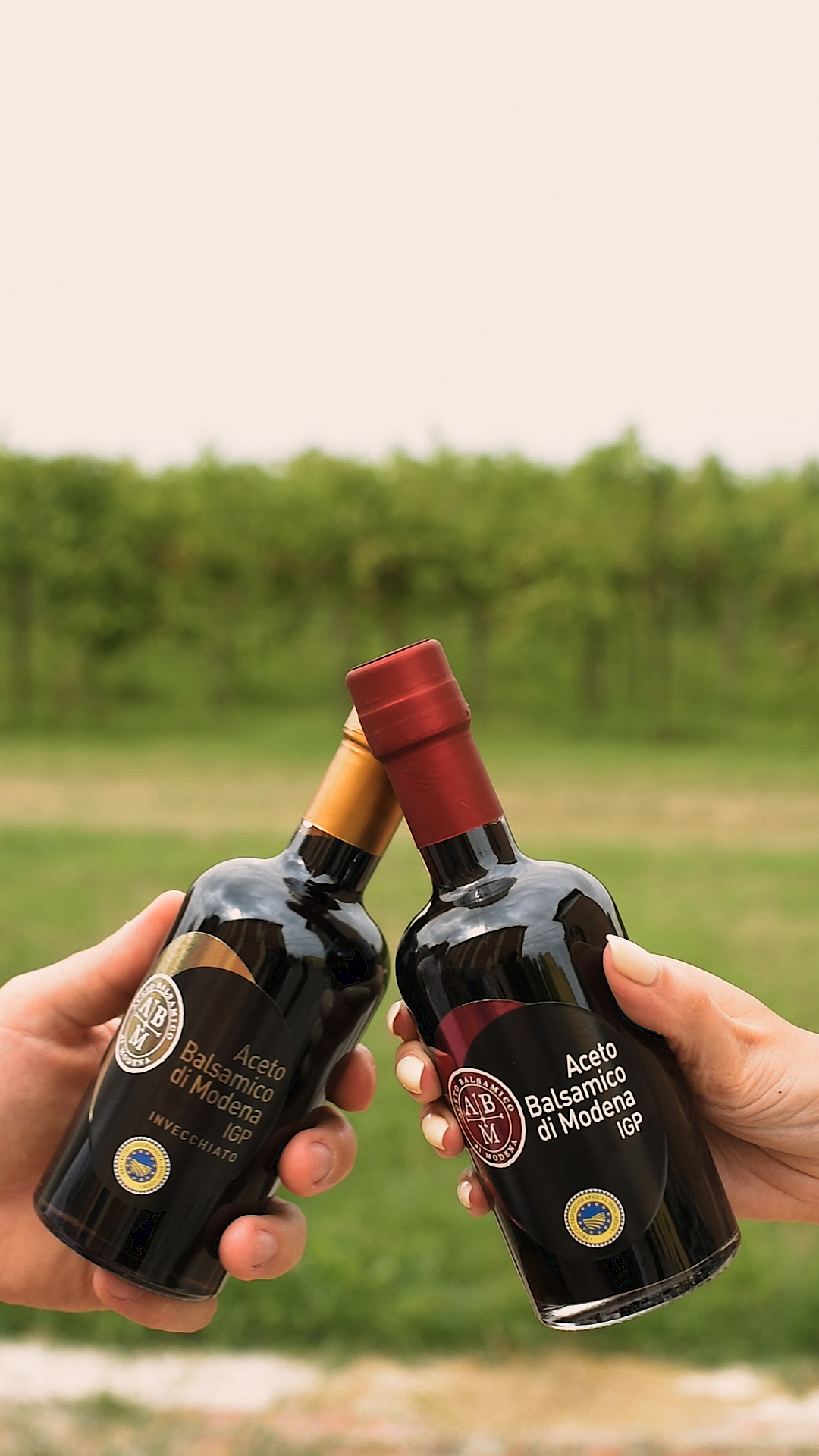 L’ACETO BALSAMICO DI MODENA IGP AL CONCERTO DI LUCIANO LIGABUE AL CAMPOVOLO DI REGGIO EMILIA L’ACETO BALSAMICO DI MODENA IGP AL CONCERTO DI LUCIANO LIGABUE AL CAMPOVOLO DI REGGIO EMILIA