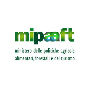 LOGO MIPAFT QUAD