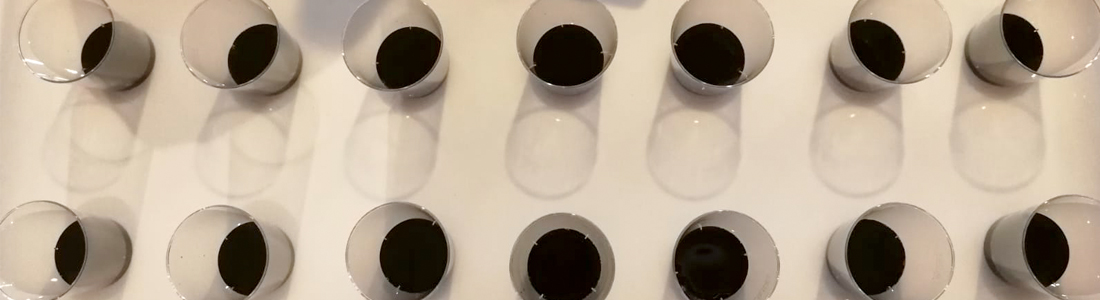 ACETO BALSAMICO DI MODENA, PRIMA VOLTA IN CALIFORNIA PER IL PEBBLE BEACH FOOD&WINE ACETO BALSAMICO DI MODENA, PRIMA VOLTA IN CALIFORNIA PER IL PEBBLE BEACH FOOD&WINE