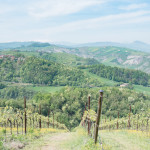 Turismo IG, il caso Modena: il Balsamico traina l’economia dei territori