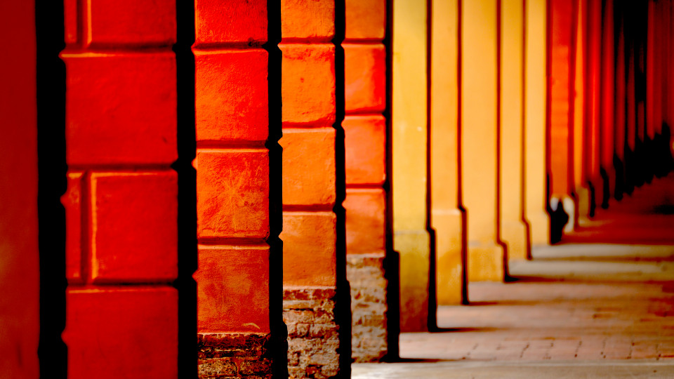 L1002419 copia_i colori di Modena