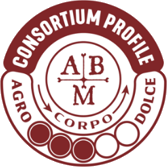 Consortium Profile 3
