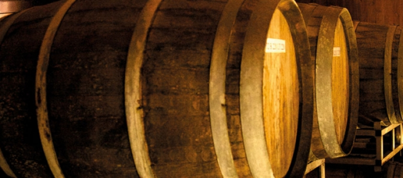 Das Consorzio Tutela Aceto Balsamico di Modena fordert Korrektheit, Klarheit und Transparenz von der europäischen Essigindustrie