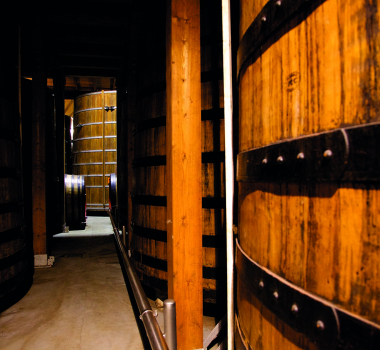 Procedura di selezione dell’organismo di esecuzione del programma di informazione e promozione dei prodotti agricoli sui mercati terzi – provvedimento di aggiudicazione