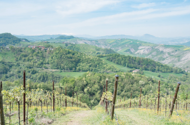 Turismo IG, il caso Modena: il Balsamico traina l’economia dei territori