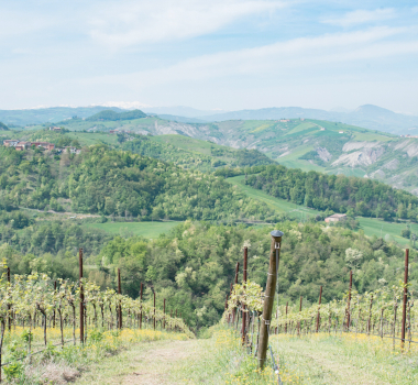 Turismo IG, il caso Modena: il Balsamico traina l’economia dei territori